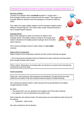 Topic 1 Biology A Level Revision Notes Teaching Resources 2518