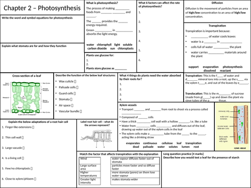 Photosynthesis revision broadsheet AQA GCSE KS4