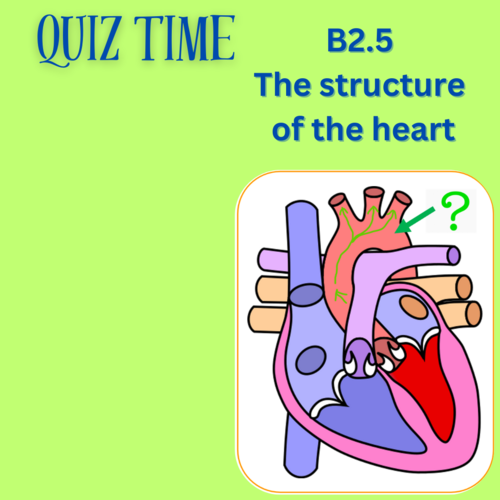 TLevel Health 20242025 B2.5B2.7 Cardiovascular system and CHD