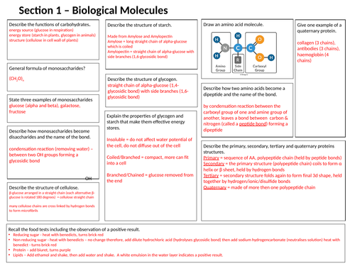 AQA A-Level Biology Revision Mats and answers bundle | Teaching Resources