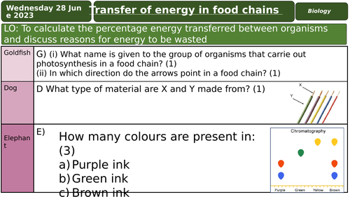 Energy Transfer in Food Chains Biology Diagrams