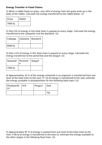 Energy Transfer in Food Chains Biology Diagrams