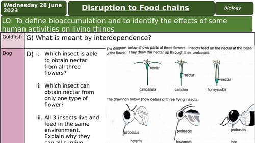 Disruption to Food Chains Biology Diagrams