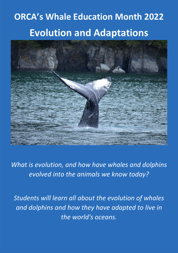 Whale Evolution and Adaptations | Teaching Resources