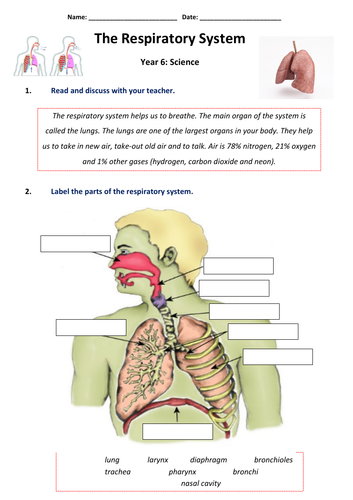 pdf, 201.04 KB