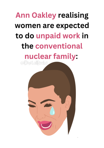 Sociology Meme Posters (x13) | Teaching Resources