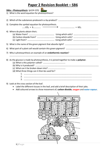 SB6 Revision Booklet (Edexcel GCSE Biology - Single Science)