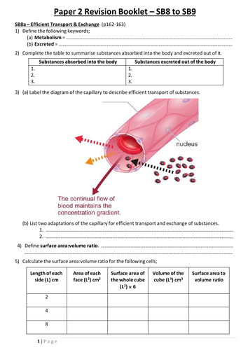 SB8 Revision Booklet (Edexcel GCSE Biology - Single Science)