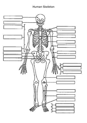 docx, 54.07 KB