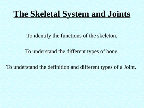GCSE PP Skeletal-Muscular System