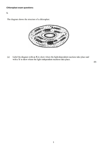 AQA A level Biology - 3.5.1 Photosynthesis 1 - The leaf & chloroplast ...