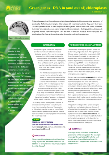 AQA A level Biology - 3.5.1 Photosynthesis 1 - The leaf & chloroplast ...