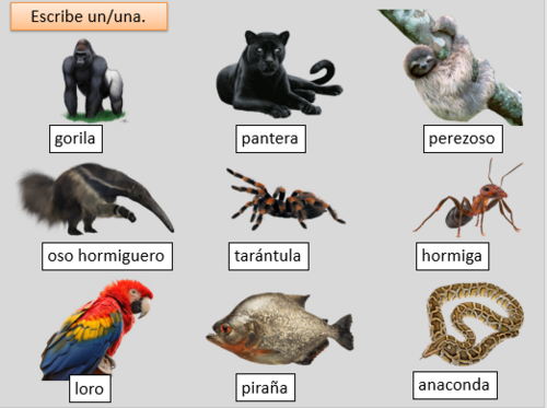 png, 155.75 KB