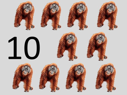 png, 575.03 KB