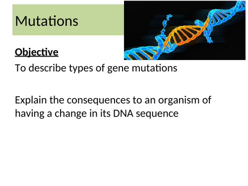 Mutations and mutagens