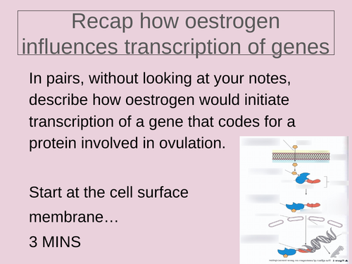 Epigenetics A level Biology