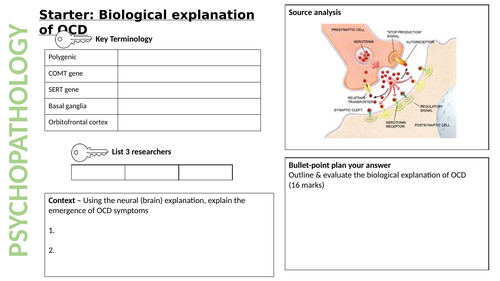 Biological Explanation Of Ocd Aqa Psychology – VGMQM