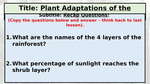 KS3: Tropical Rainforests: L4: Plant Adaptations