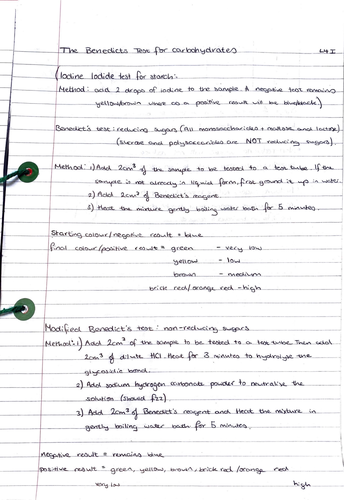 A Level Biology - Carbs, Proteins & Lipids | Teaching Resources