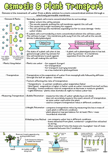 GCSE Biology Notes - Unit 2 | Teaching Resources