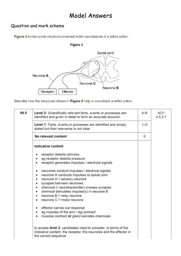 pdf, 231.66 KB