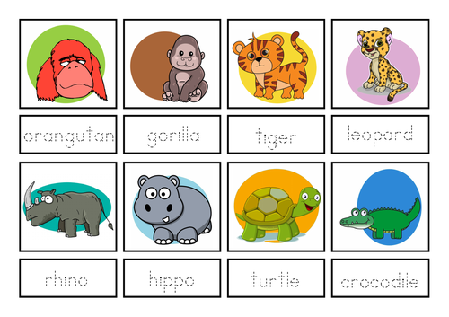 Endangered Animals Unit of Work EYFS KS1 | Teaching Resources