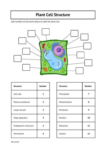 Label the Structure of Eukaryotic Cells + Answers Included | Teaching ...