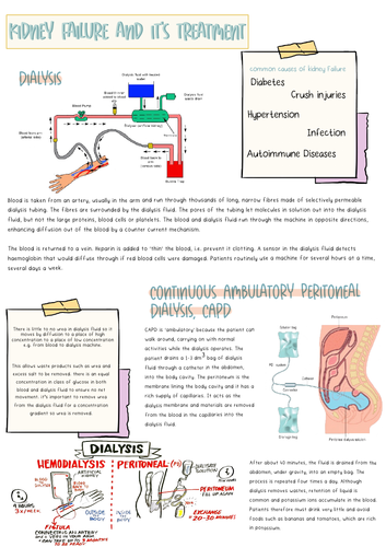 pdf, 620.04 KB