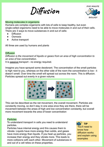 AQA GCSE Biology Diffusion Revision Sheet