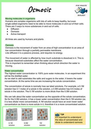 AQA GCSE Biology Osmosis Revision Sheet