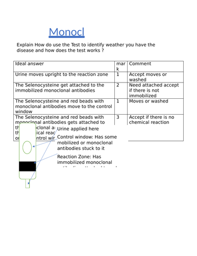 docx, 29.08 KB