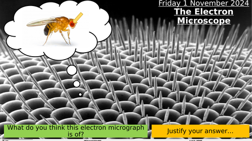 3.2 The Electron Microscope