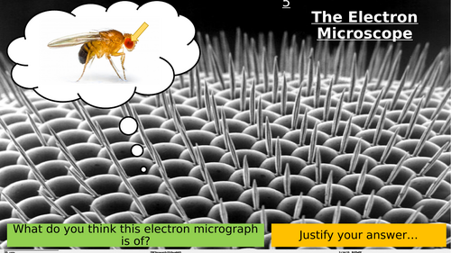 3.2 The Electron Microscope
