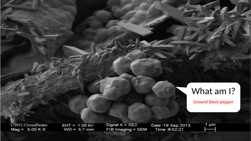 3.3 Microscope Measurements & Calculations