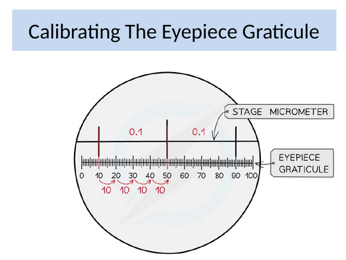 3.3 Microscope Measurements & Calculations