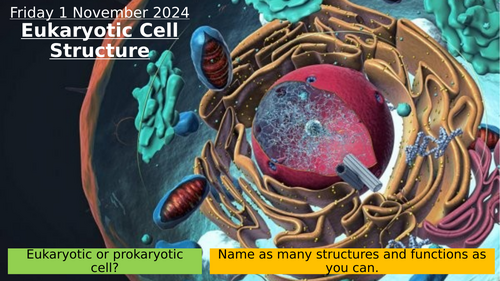 3.4 Eukaryotic Cell Structure