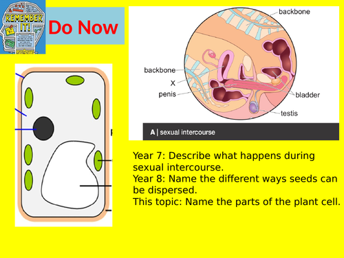 Edexcel CB1 SB1 Specialised Cells Complete Lesson - GCSE Biology ...