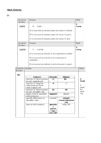 docx, 1.12 MB