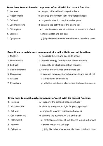 year 7 science homework cells