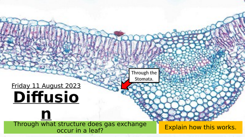 4.2 Diffusion