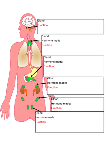 Homeostasis & Response - 4.5 (AQA GCSE 1-9 Biology: Complete Topic ...