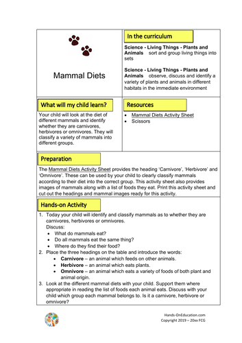 Mammals Activities | Senior Infants Bundle | Hands-On Education ...