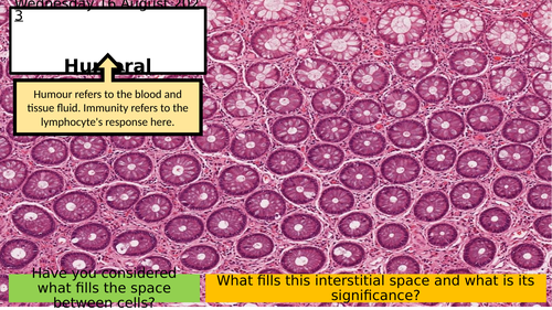 5.4 B Lymphocytes & Humoral Immunity