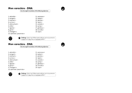 French - Adjective agreement machine | Teaching Resources