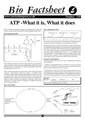 pdf, 86.99 KB