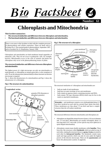 CIE 13.1 Photosynthesis: Chloroplast Structure | Teaching Resources