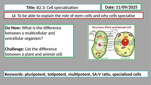 IB Biology: B2.3 Cell specialisation (first exams in 2025) | Teaching ...