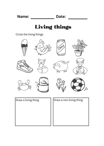 Science Living Things Worksheets | Teaching Resources