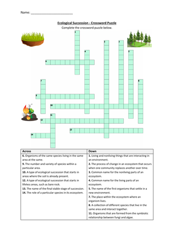 Ecological Succession Crossword Puzzle Worksheet Activity (Printable