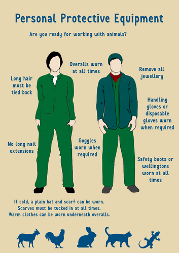 animal-care-ppe-poster-teaching-resources